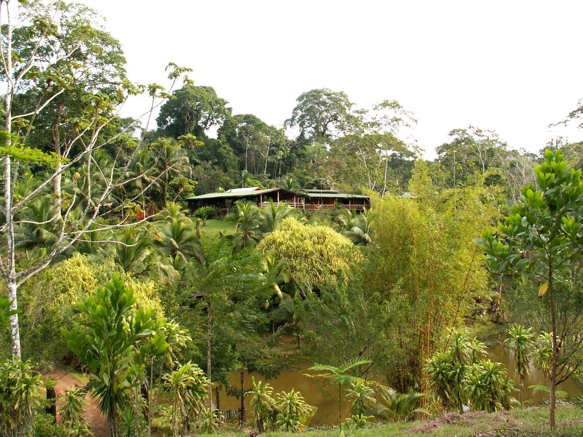 La Laguna Del Lagarto Eco-Lodge Pital  Exterior photo